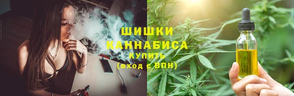 метадон Богородицк