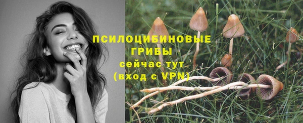 а пвп мука Богородск