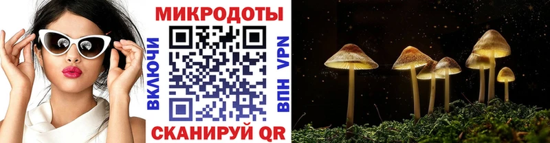 Псилоцибиновые грибы MAGIC MUSHROOMS  гидра   Люберцы 